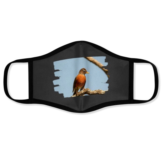 Discover American Robin Face Masks
