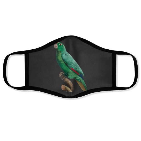Discover Cute Bird 2 jimmy buffett to p sellin g widodo ganteng transparent Face Masks