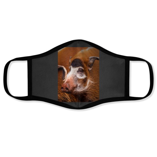 Discover Zoology - Red River Hog Face Masks