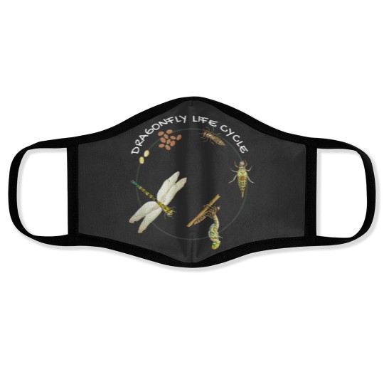 Discover Dragonfly Life Cycle Facts 3 Stages Insect Development Face Masks