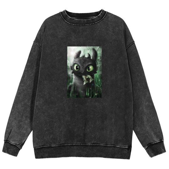 Discover How To Train Your Dragon, Toothless Gifts For Men & Women Mineral Wash Sweatshirts