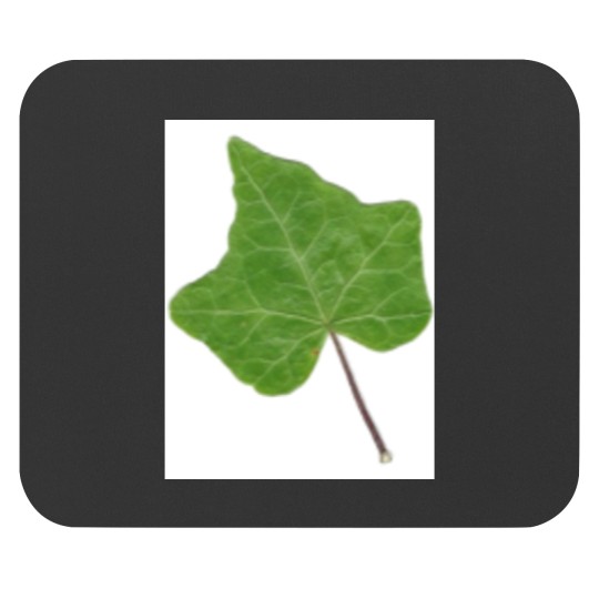 Discover Ivy Leaf Mouse Pads