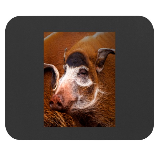 Discover Zoology - Red River Hog Mouse Pads