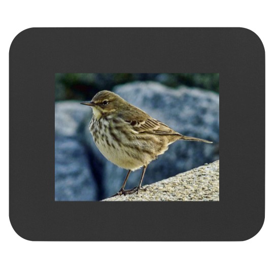 Discover The Finnmarken at Dusk in Tromso Mouse Pads