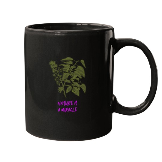 Discover Eco-friendly life Mugs
