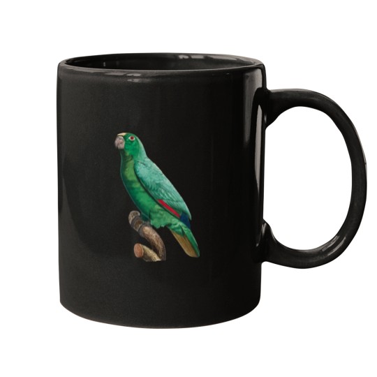 Discover Cute Bird 2 jimmy buffett to p sellin g widodo ganteng transparent Mugs