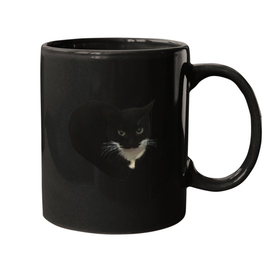 Discover maxwell the cat Mugs