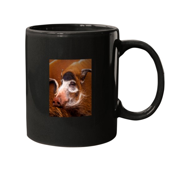 Discover Zoology - Red River Hog Mugs