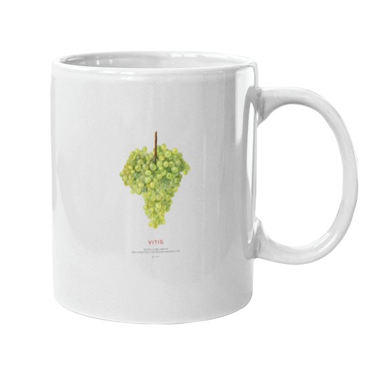 Discover Grape or Vitis Mugs