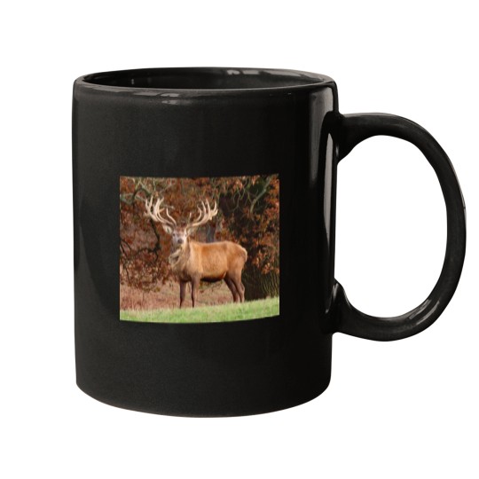 Discover A Wonderful Red Stag Mugs