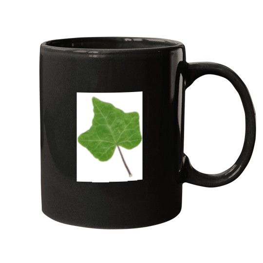 Discover Ivy Leaf Mugs, Gift Ivy Leaf Mugs