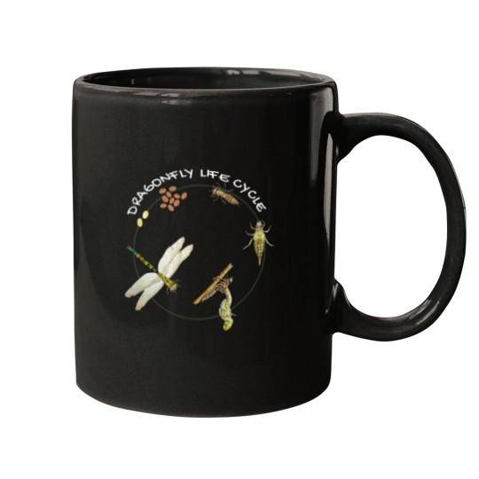 Discover Dragonfly Life Cycle Facts 3 Stages Insect Development Mugs