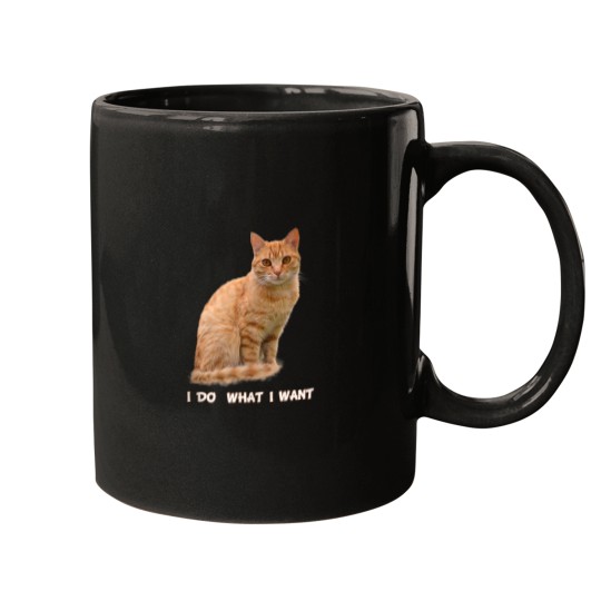 Discover I Do What I Want Funny Orange Tabby Cat Lovers Gifts Mugs