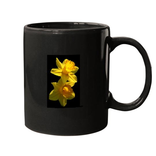 Discover Daffodils Mugs
