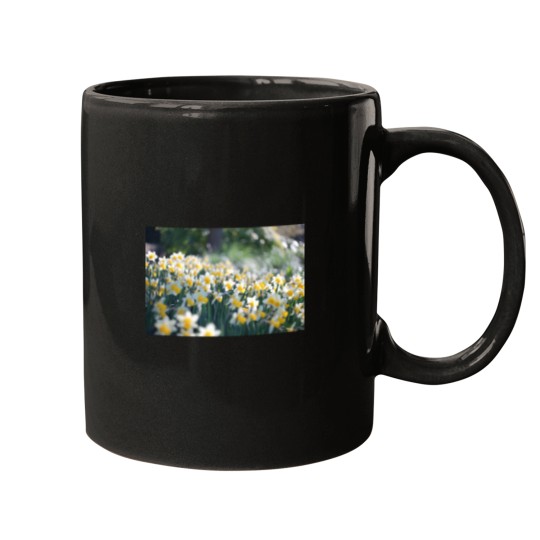 Discover Easter Daffodils Mugs