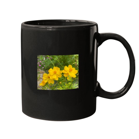 Discover Flowers Classic Mugs
