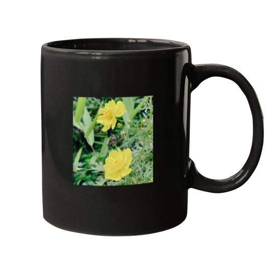 Discover Cosmos Classic Mugs