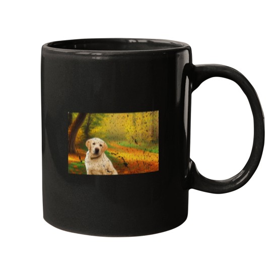 Discover Yellow Lab in the Park During Autumn Mugs