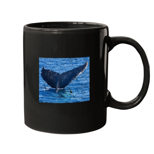 Discover Whales tail Hervey Bay Mugs
