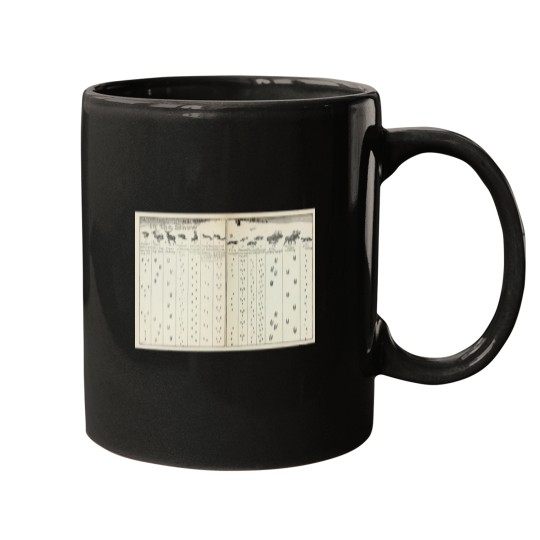 Discover Vintage Animal Tracks in the Snow Diagram (1912) Active T-Shirt Mugs