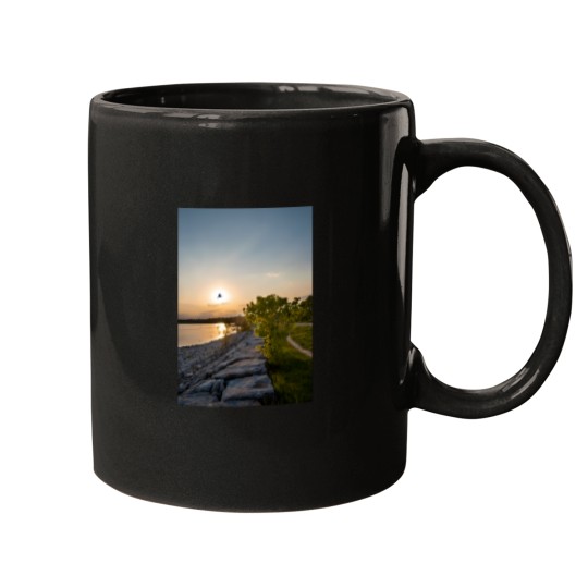 Discover bird flies in front of the sunset Mugs