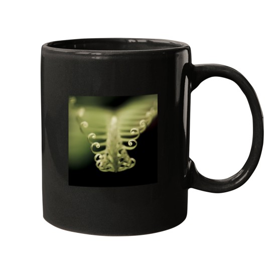 Discover Fern 2402 Mugs