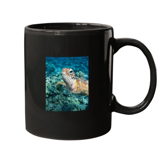 Discover Green Turtle On Great Barrier Reef Mugs
