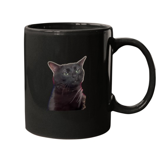 Discover Zoned Out Cat Mugs