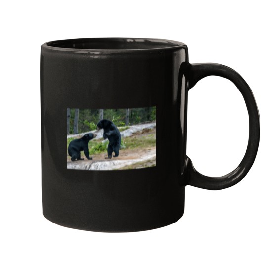 Discover Never back down Mugs