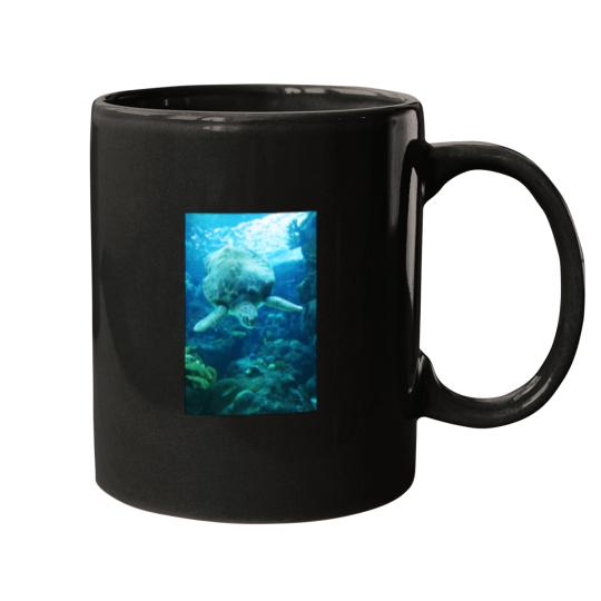 Discover Descending Sea Turtle Sticker 2442 Mugs