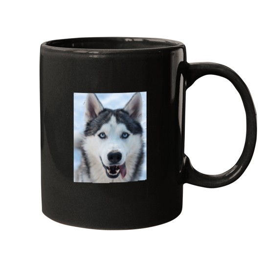 Discover funnys Looking Siberian Husky dogs Classic Mugs