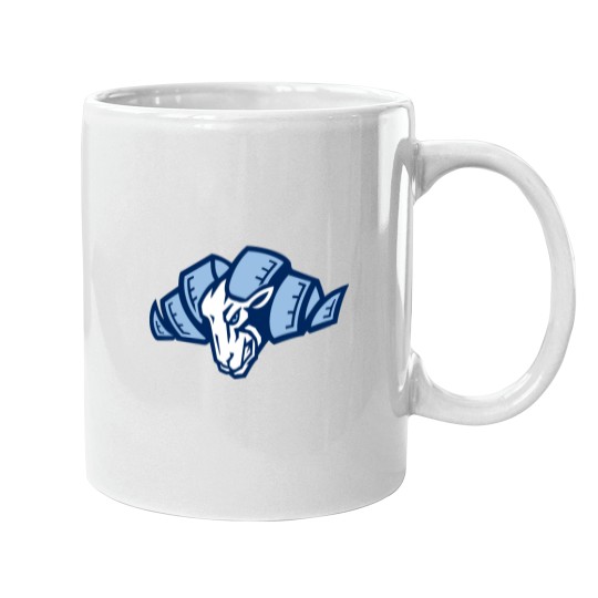 Discover Carolina North Mugs