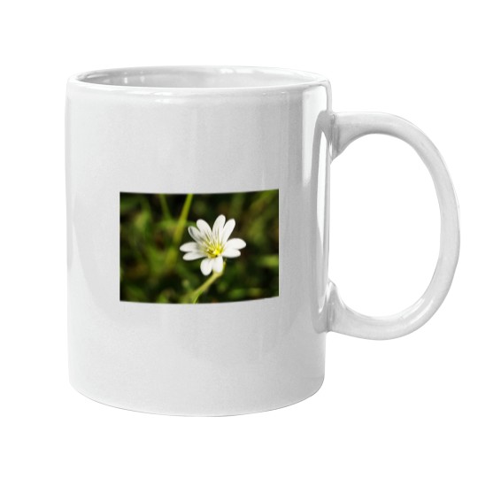 Discover White Flower - European chickweed Premium Scoop Mugs