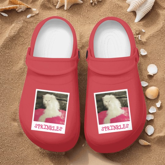 Discover Sprinkles the Cat - The Office - Nurse Clogs