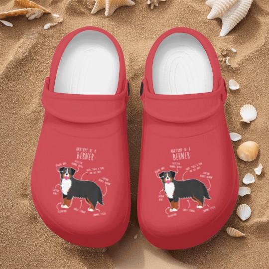 Discover Bernese Mountain Dog Anatomy - Bernese Mountain Dog - Nurse Clogs