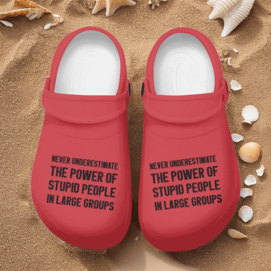 Discover Never Underestimate The Power Of Stupid People Nurse Clogs