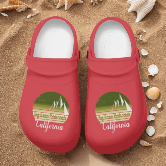 Discover Big Basin Redwoods California Nurse Clogs