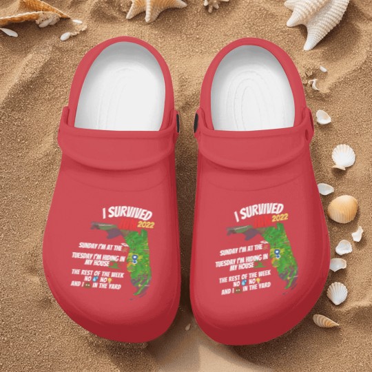 Discover I Survived Hurricane Ian Nurse Clogs