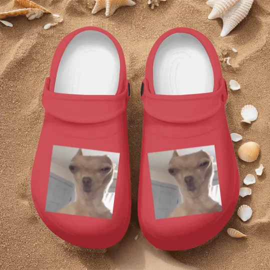 Discover Chihuahua meme - Funny - Nurse Clogs