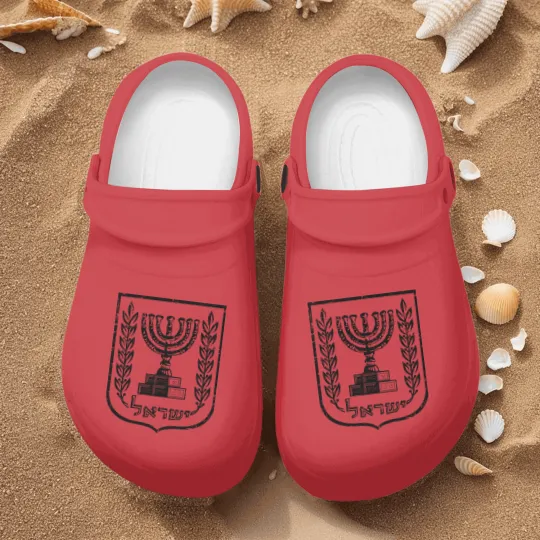 Discover Israel Nurse Clogs Emblem of the State of Israel Patriotic Israel Heritage Nurse Clogs
