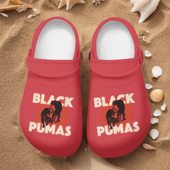 Discover BLACK PUMAS Nurse Clogs