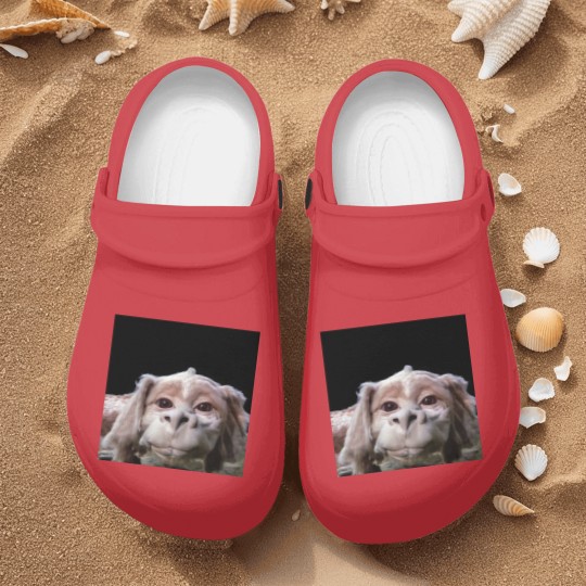 Discover Falkor The Luck Dragon From The Neverending Story Nurse Clogs