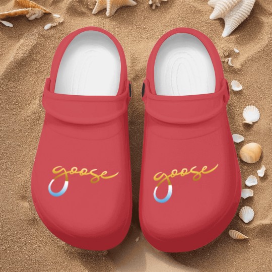 Discover The Goose American band goose the band merch tour (1) Nurse Clogs