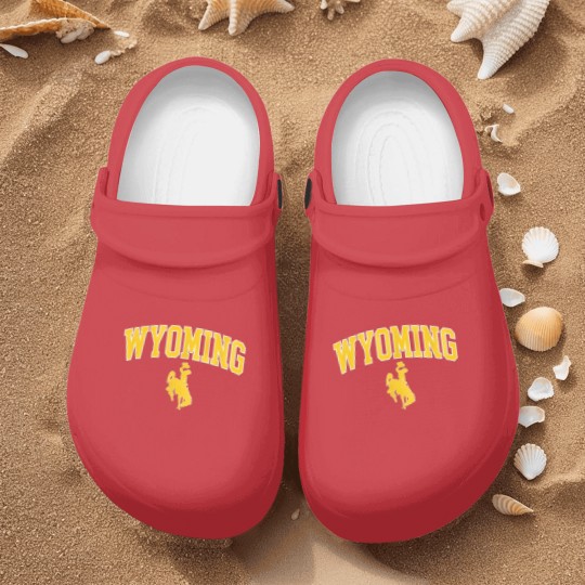 Discover Mens Wyoming Cowboys Nurse Clogs