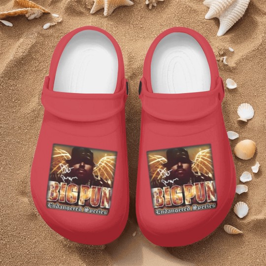 Discover Big Pun Endangered Species Album Nurse Clogs, Big Pun Tour Nurse Clogs
