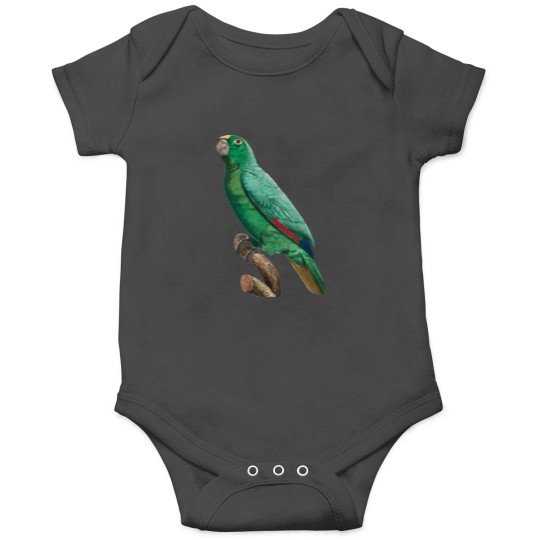Discover Cute Bird 2 jimmy buffett to p sellin g widodo ganteng transparent Onesies