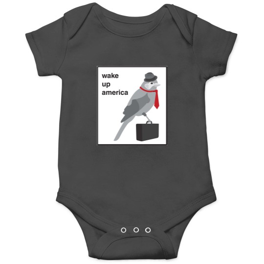 Discover BIRDS ARENT REAL Onesies