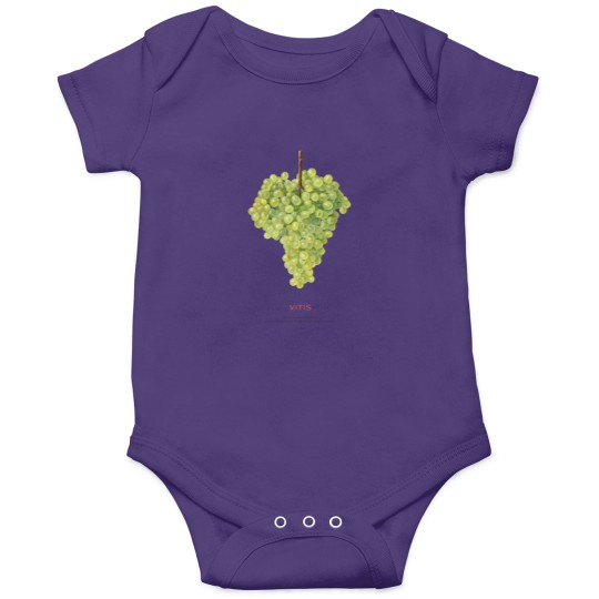 Discover Grape or Vitis Onesies