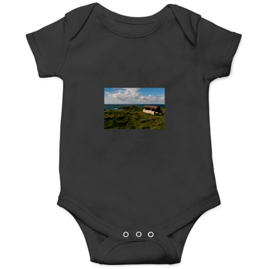 Discover Rusty Cannon Onesies