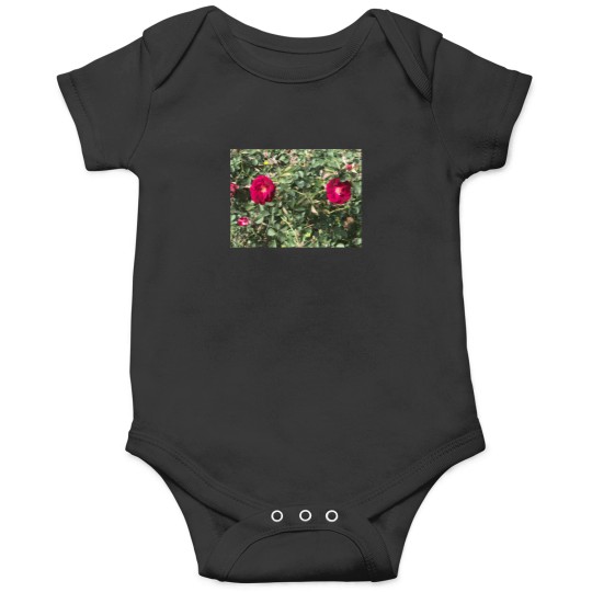Discover French Roses 1120 Onesies